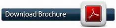 download pdf that describes brightsign in more detail
